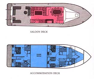 DellaGrazia_1.jpg (27151 bytes)